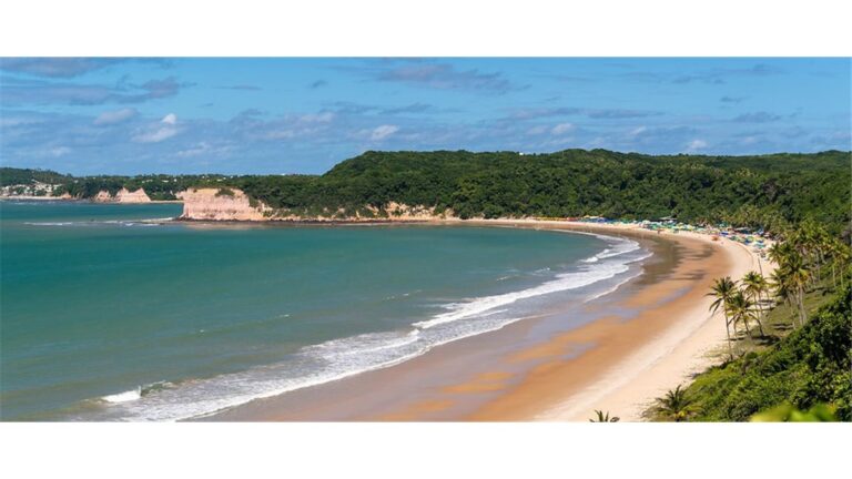 O monstro da PEC 03 – Desafios sobre sustentabilidade e vida no Brasil