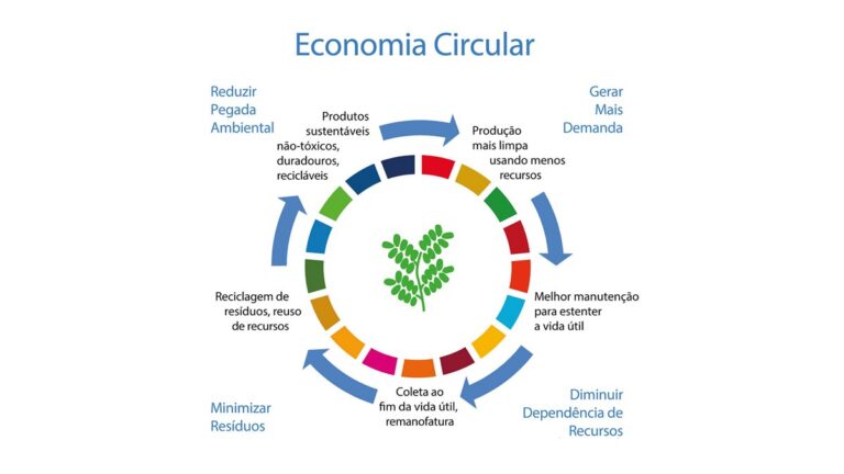 O papel do Brasil diante dos desafios climáticos contemporâneos: economia circular e bioeconomia como alternativa possível ou promessa vazia?