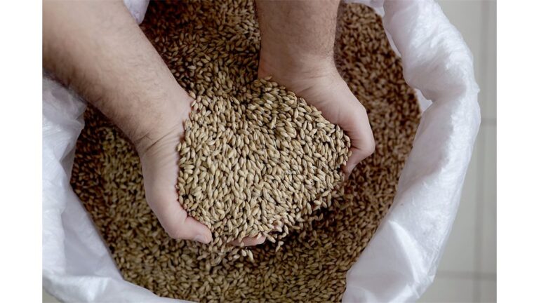 Pote Cigano de Prosperidade e Abundância