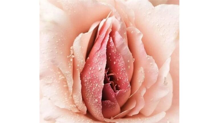 Sexualidade Sagrada – Seiva nutridora da vida.