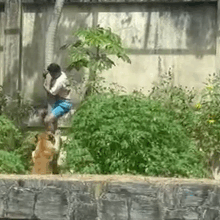 Esquizofrenia silenciosa